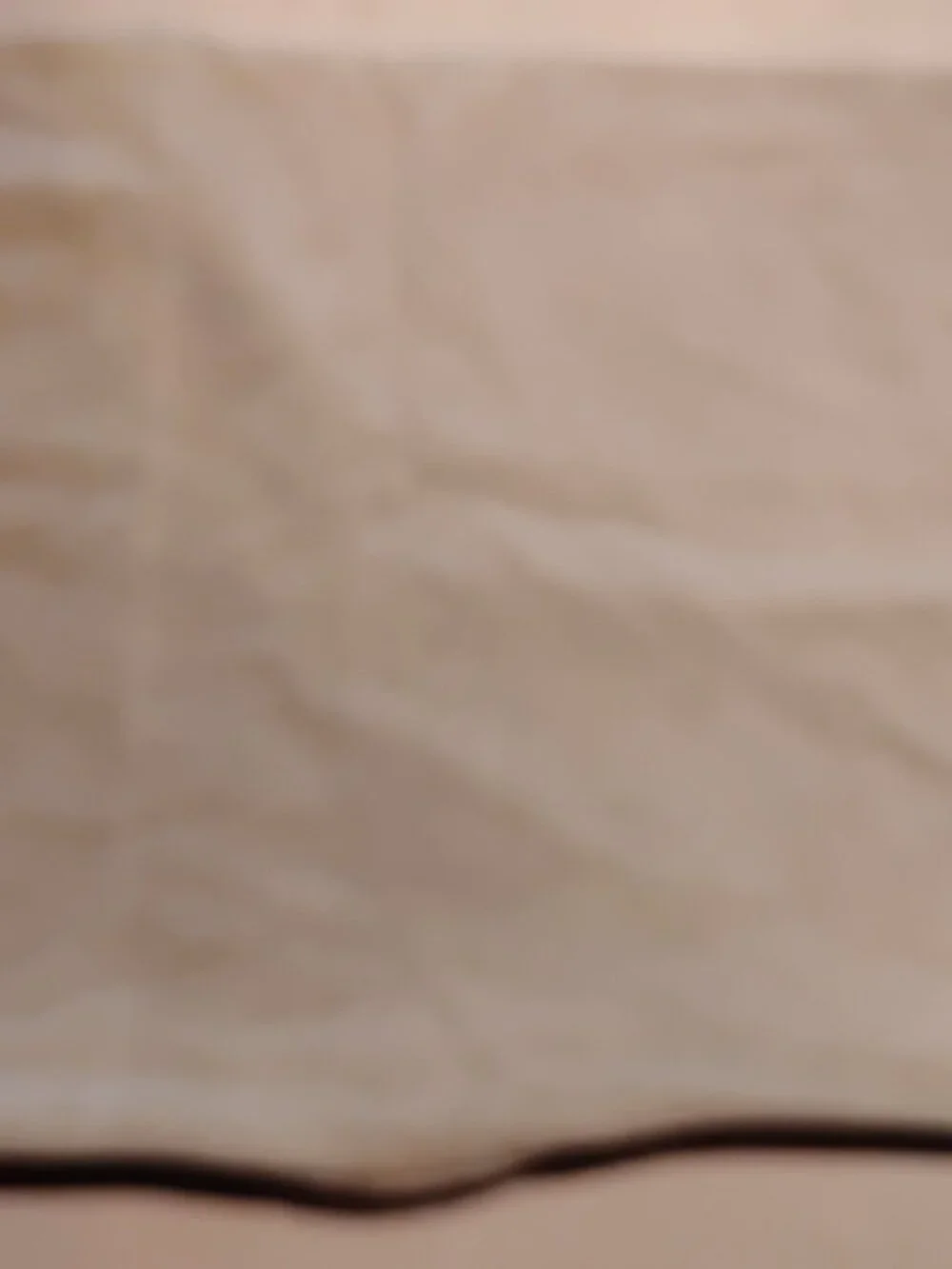 Pottery Barn pillow case 15